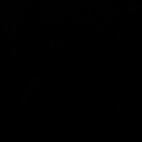 Nike Black Nyjah SB Men's Shoes - Picture 7 of 7